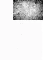 hand on caney (2).webp