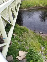 20170526_163553.webp