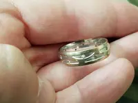 Ringinhand.webp