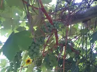 IMG_20170729_104839.webp