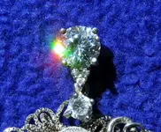 DSCN3564.webp