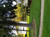20170719_195829.webp 20170719_195829.webp