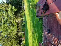 20170719_191050.webp