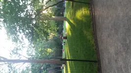 20170621_192507.webp