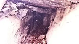 Image2.webp