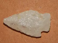 DSCN6860.webp