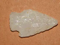 DSCN6861.webp