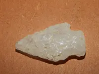DSCN6863.webp