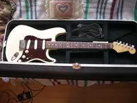 IMGP2730.webp