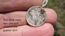 Finds 7-3-17 013.webp