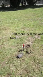 Finds 7-3-17 014.webp