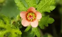 DSCN0222_1200.webp