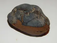 DSCN6672.webp