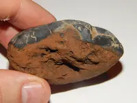 DSCN6673.webp