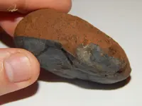 DSCN6675.webp