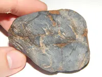 DSCN6676.webp