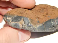DSCN6677.webp