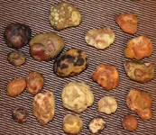 bubblegum_agates.webp