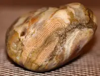 prairie_agate_unusual.webp