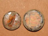 DSCN6867.webp