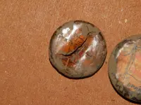 DSCN6868.webp