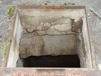 DSCN6091.webp