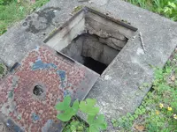 DSCN6093.webp