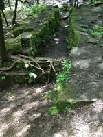 ImageUploadedByTreasureNet.com1499040531.444622.webp