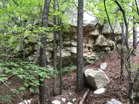 ImageUploadedByTreasureNet.com1500581699.737411.webp