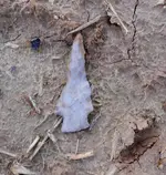 DSCN0275.webp
