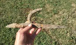 20170702_182134.webp