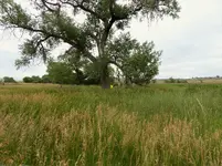 bike 072917 3.webp