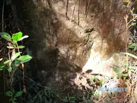 SANY0153.webp