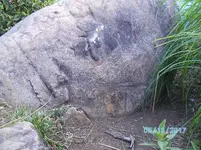 SANY0160.webp
