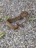 IMG_20170729_172045759.webp