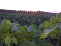 20170718_202918.webp 20170718_202918.webp