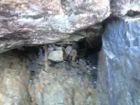 suspension 2.webp