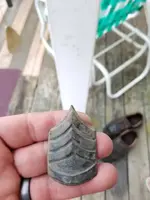 20170527_192922.webp