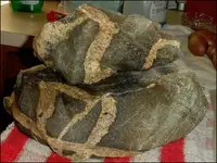 our rock 1.webp