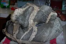 our rock.webp