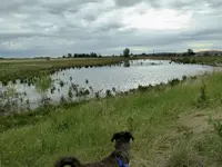 walk 052717 1.webp