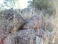 101_1403.webp