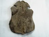 DSCF0539.webp