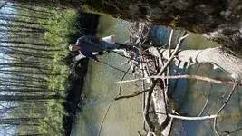 20170423_115731.webp