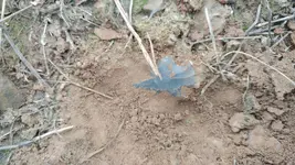0601171836.webp 0601171836.webp