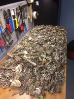ImageUploadedByTreasureNet.com1499804932.892453.webp