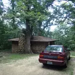 Construction Phatty 1959 001.webp
