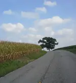 20130918_160618-1.webp