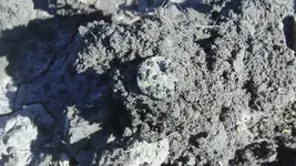 212_1351.webp