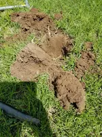 20170729_113346.webp 20170729_113346.webp